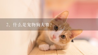 什么是宠物狗大赛？