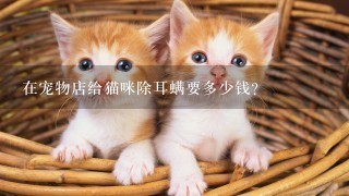 在宠物店给猫咪除耳螨要多少钱？