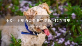 神犬小七里的完美世界宠物医院在哪里