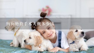 狗狗绝育手术大概多少钱