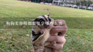 狗狗美容师都需要学哪些东西