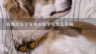 杭州犬公子宠物美容学校怎么样啊