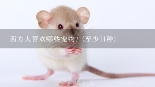 西方人喜欢哪些宠物？(至少11种)