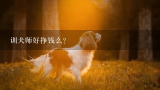 训犬师好挣钱么？