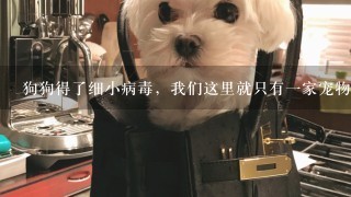 狗狗得了细小病毒，我们这里就只有一家宠物店宠物店