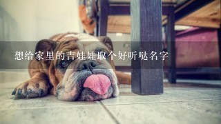 想给家里的吉娃娃取个好听哒名字