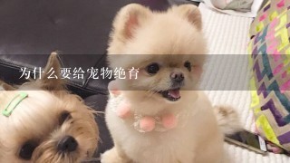 为什么要给宠物绝育