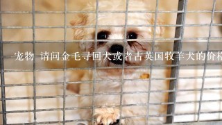 宠物 请问金毛寻回犬或者古英国牧羊犬的价格是多少 要小奶狗