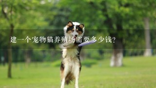 建一个宠物猫养殖场需要多少钱？