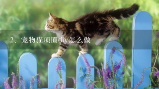 宠物猫项圈diy怎么做