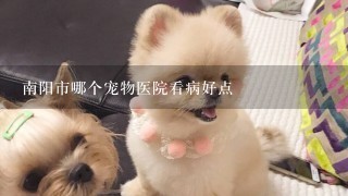 南阳市哪个宠物医院看病好点