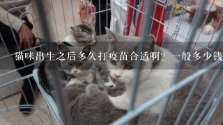 猫咪出生之后多久打疫苗合适啊？一般多少钱呢