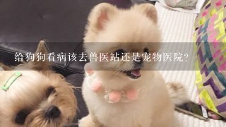 给狗狗看病该去兽医站还是宠物医院？