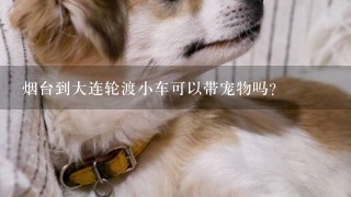 烟台到大连轮渡小车可以带宠物吗？