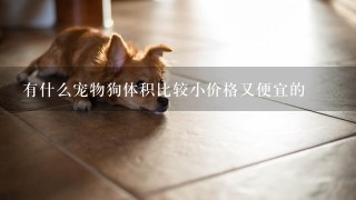 有什么宠物狗体积比较小价格又便宜的