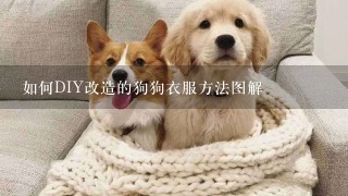 如何DIY改造的狗狗衣服方法图解