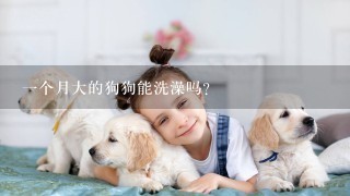 一个月大的狗狗能洗澡吗？