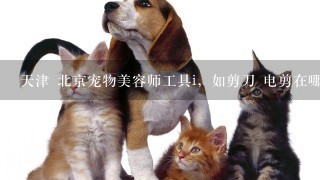 天津 北京宠物美容师工具i，如剪刀 电剪在哪里能买