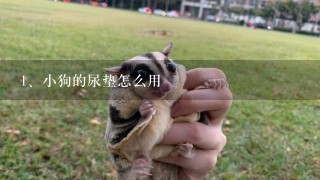 小狗的尿垫怎么用