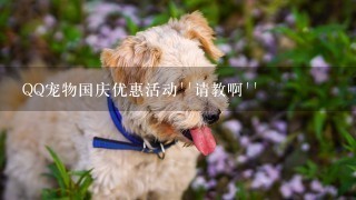 QQ宠物国庆优惠活动``请教啊``