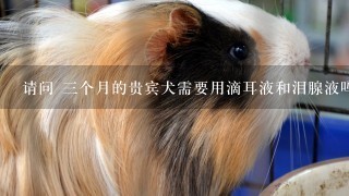 请问 三个月的贵宾犬需要用滴耳液和泪腺液吗?用什么牌子的比较好啊，洗澡的香波用什么牌子的对狗狗的毛好