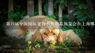 第19届中国国际宠物水族用品展览会在上海哪里