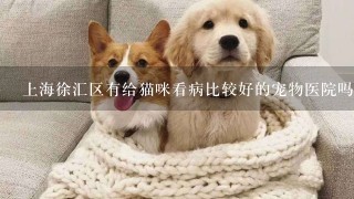 上海徐汇区有给猫咪看病比较好的宠物医院吗？