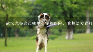 武汉光谷这边哪里有宠物医院，我想给爱猫打疫苗和驱虫