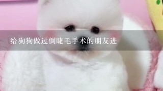 给狗狗做过倒睫毛手术的朋友进