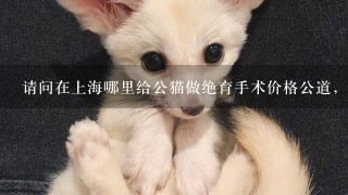 请问在上海哪里给公猫做绝育手术价格公道，有比较正