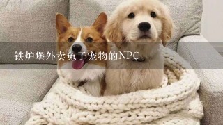 铁炉堡外卖兔子宠物的NPC