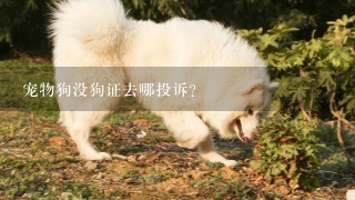 宠物狗没狗证去哪投诉？