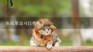 医院里边可以带狗不