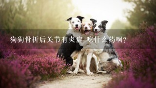 狗狗骨折后关节有炎症 吃什么药啊？