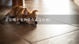 北京哪个宠物店有卖金丝熊?