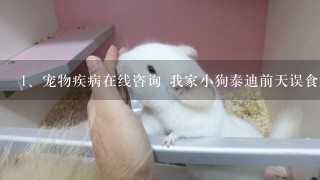 宠物疾病在线咨询 我家小狗泰迪前天误食了一个枣核