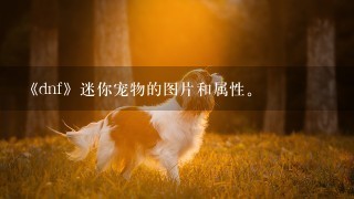 《dnf》迷你宠物的图片和属性。