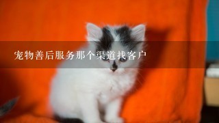 宠物善后服务那个渠道找客户