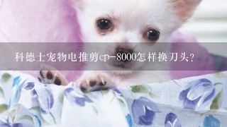 科德士宠物电推剪cp-8000怎样换刀头？