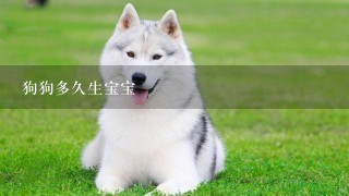 狗狗多久生宝宝