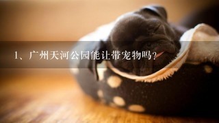 广州天河公园能让带宠物吗？