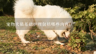 宠物犬猫基础护理包括哪些内容()