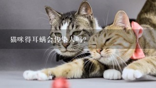 猫咪得耳螨会传染人吗？