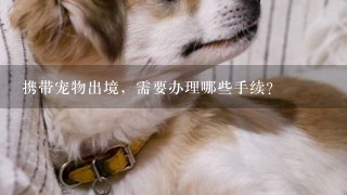 携带宠物出境，需要办理哪些手续？