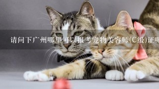 请问下广州哪里可以报考宠物美容师(C级)证呢?谢谢