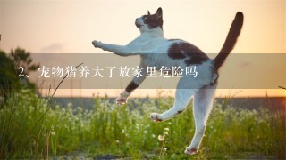 宠物猪养大了放家里危险吗