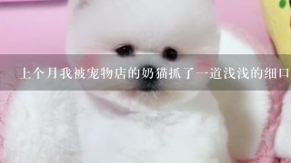 上个月我被宠物店的奶猫抓了一道浅浅的细口子十天后猫