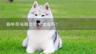 猫咪带项圈会影响健康吗？