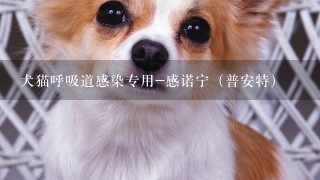 犬猫呼吸道感染专用-感诺宁（普安特）