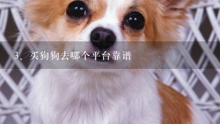 买狗狗去哪个平台靠谱